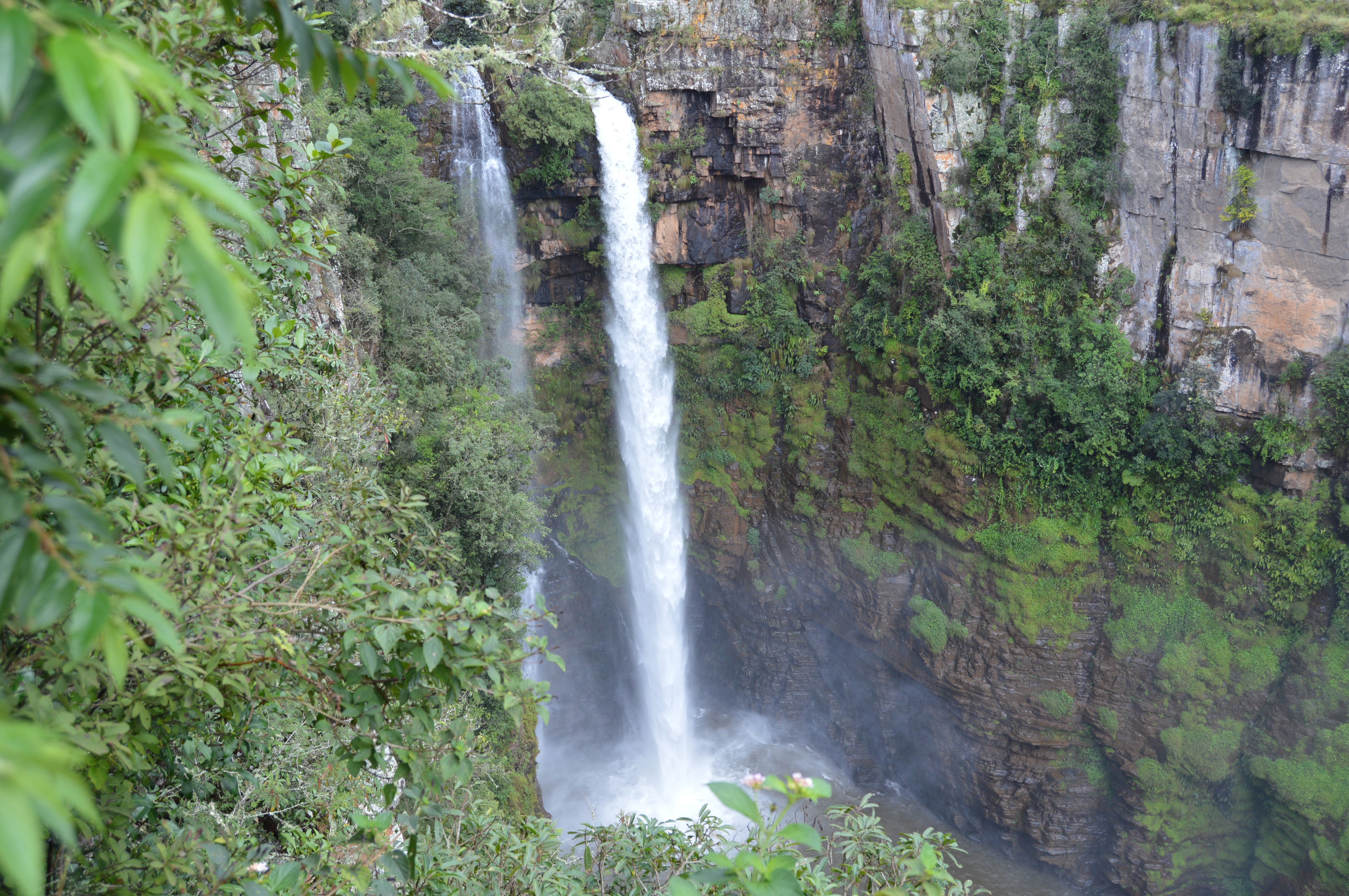 Panorama Route-Mac Mac Falls-Red Africa Safaris-7 Day Safari